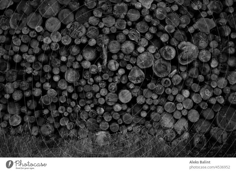 Gestapelte Baumstämme in schwarzweiß gestapelt Holz Nutzholz Natur Holzstapel Wald Forstwirtschaft Abholzung Stapel Bäume natürlich roh