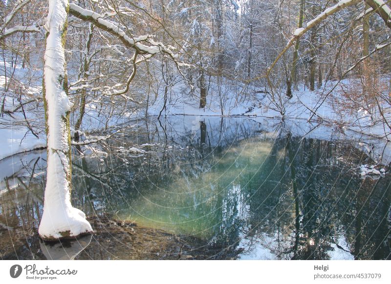 Winter am Blauen See Schnee Blauer See Teutoburger Wald Waldsee Sonnenlicht Spiegelung Wasser Baum Licht Schatten schönes Wetter Natur Reflexion & Spiegelung