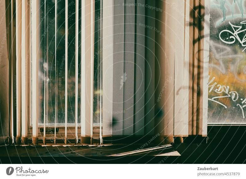 Jalousie mit Lamellen vor Herbstfenster mit goldenem Licht Streifen Fenster verhangen Ausblick verlassen Schatten geschlossen Strukturen & Formen Sichtschutz