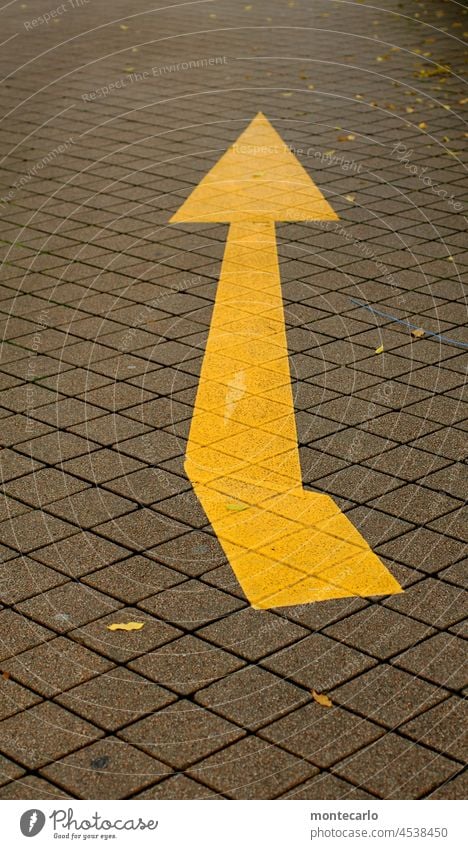 Richtungsweisend Zeichen Straße Schilder & Markierungen Hinweisschild Straßenverkehr StraßeWeg Symbole & Metaphern Verkehrszeichen Pfeile Kontrast