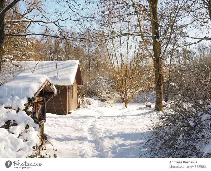 Holzhütte in einem Waldstück, bedeckt mit Schnee nach starkem Schneefall, im Hintergrund Bienenstöcke ruhig malerisch Winterwald starker Schneefall Pavillon