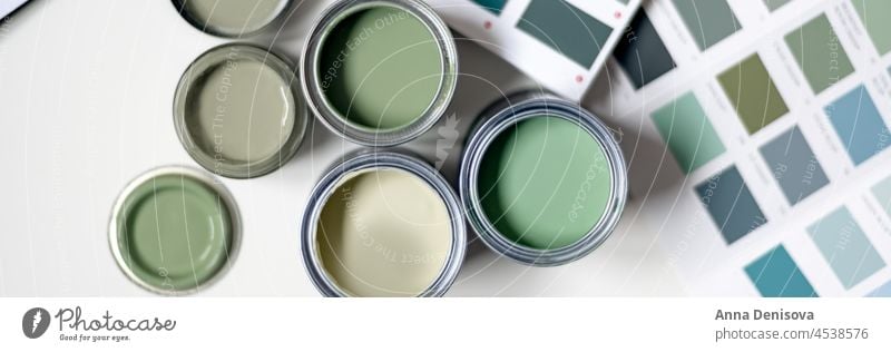 Auswahl der Wandfarben Dose Farbe Bürste Töpfe Probe auserwählend Renovierung Probengefäße grün Moos Basilikum Pastell beklebt liquide Büchse Eimer heimwärts