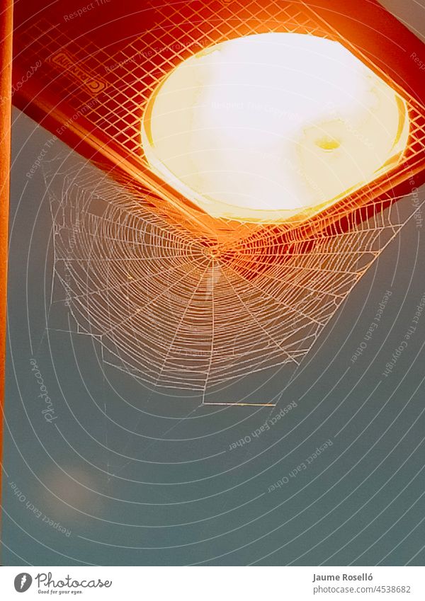Lampe mit warmem Licht und einem Spinnennetz. glühend Halloween horizontal Entsetzen Beleuchtung beängstigend spukhaft Unwetter Nacht Netz abstrakt Kopie Raum