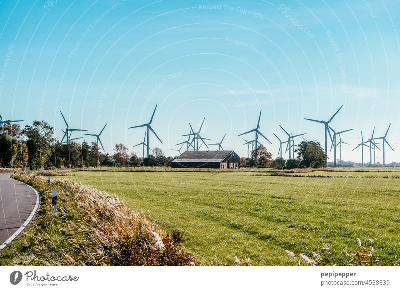 Windpark an der Nordseeküste Windparkanlage Windkraftanlage Energie Erneuerbare Energie Energiewirtschaft Himmel Elektrizität ökologisch alternativ