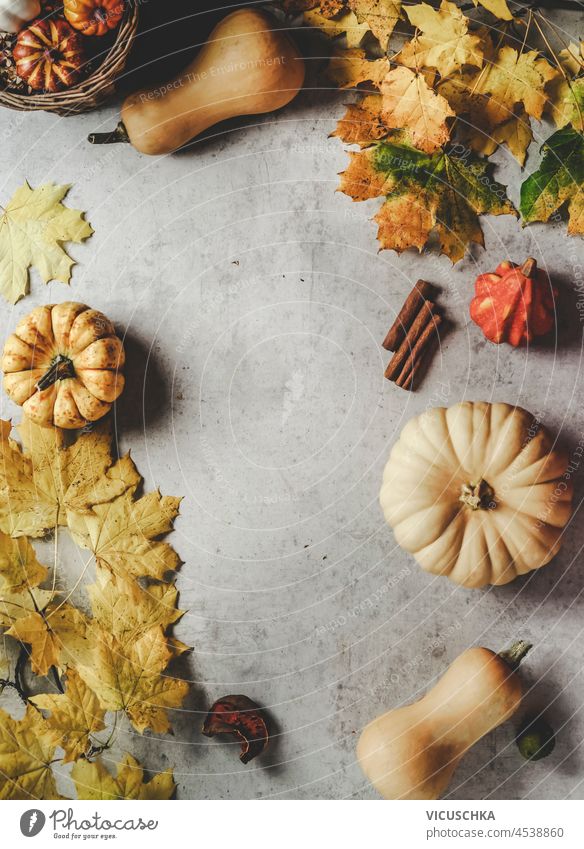 Herbst Hintergrund Rahmen mit verschiedenen Kürbisse und gelbe Herbstblätter, Zimt und Kerzen auf grauen Tisch. saisonbedingt Blätter fallen Transparente Borte