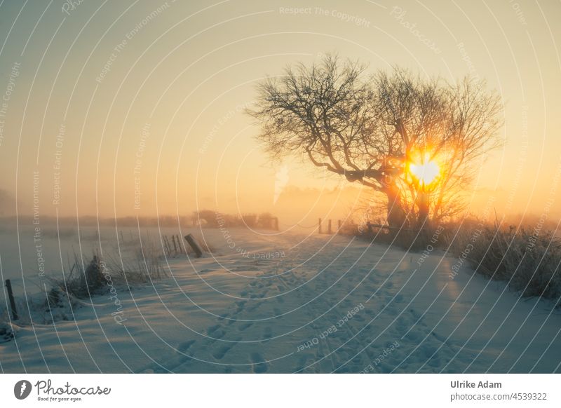 Märchenwelt Teufelsmoor l schneebedeckte Winterlandschaft bei Sonnenaufgang Dunst Hoffnung Trauer trauerkarte Romantik Meditation Stimmung Erholung harmonisch