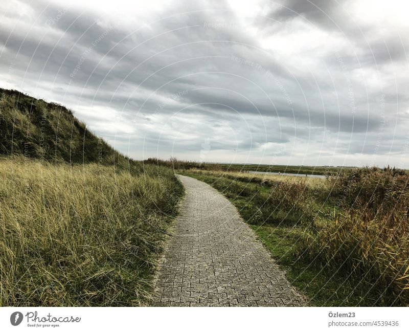 Der Radweg auf Langeoog Natur Strand Außenaufnahme Nordsee Himmel Ferien & Urlaub & Reisen Landschaft Meer Insel Menschenleer Wolken Erholung