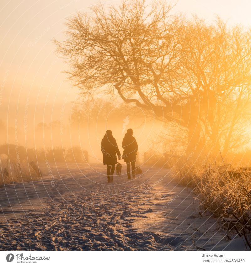 Sonnenaufgang und Winterzauber im Teufelsmoor - Romantischer Spaziergang im Schnee leuchten Sonnenlicht Gegenlicht Spaziergänger Morgendämmerung Außenaufnahme