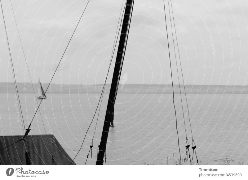 Einige Leinen im Vordergrund und als Garnitur ein kleines Segelboot Mast Bodensee Ufer Himmel Wolken Außenaufnahme Wasser Schifffahrt Ferien & Urlaub & Reisen