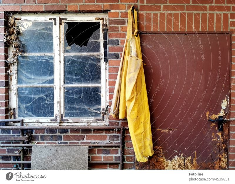 An den Nagel gehängt - ist diese gelbe Schürze zwischen Tür und Fenster einer losten Molkerei. Lost Place verlassen kaputt alt Vergänglichkeit Verfall