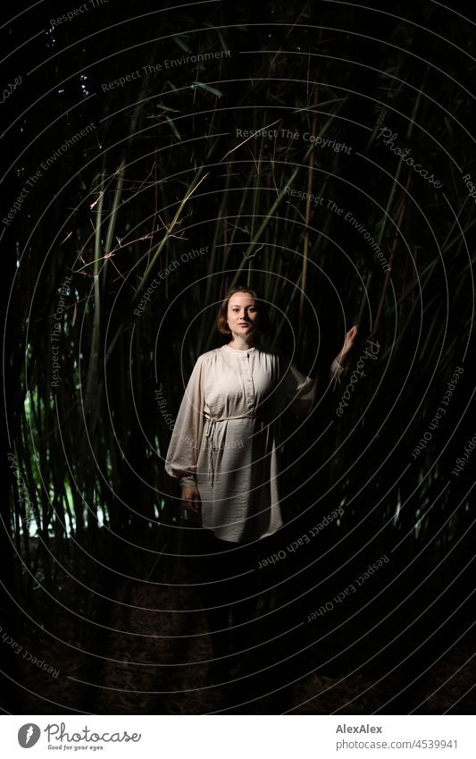 Portrait einer jungen Frau im Park in einem dunklen Bambuswald, Licht von der Seite junge Frau dunkel Seitenlicht Kleid Ganzkörper Stimmung Frauengesicht