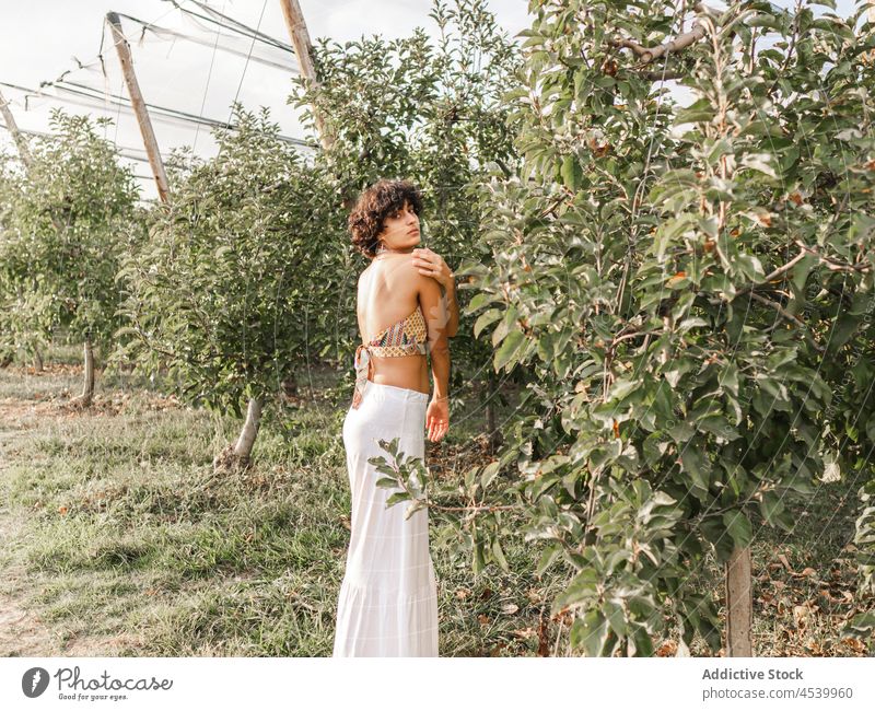 Sanftmütige Frau in einem Feld mit Bäumen stehend sanft feminin selbstbewusst sinnlich Stil Garten Körperhaltung Angebot ländlich Baum Apfel Landschaft Reihe