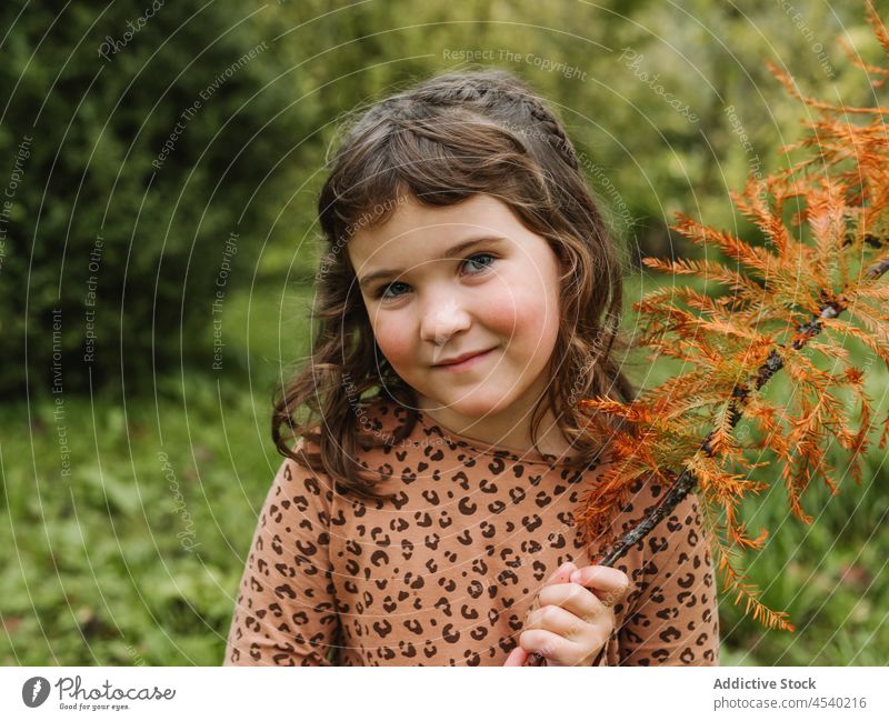 Niedliches Mädchen mit Zweig einer verblühenden Pflanze im Park Blatt verblassen Ast Baum Natur Herbst Porträt sanft fallen Kind Laubwerk niedlich Vorschein