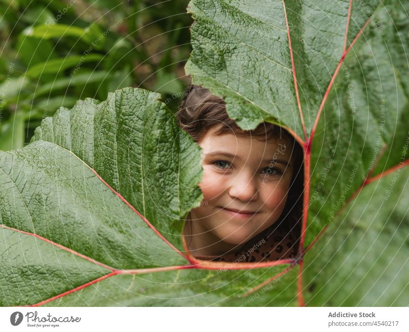 Kleines Mädchen bedeckt Gesicht mit großem Zweig Blatt Tierhaut starren Deckblatt Pflanze wachsen vegetieren Starrer Blick pflanzlich Kind Persönlichkeit