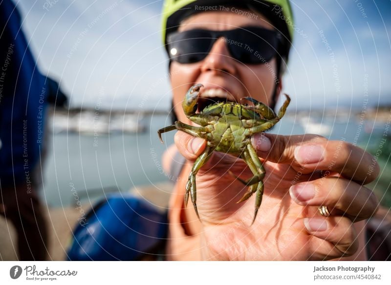 Eine Touristin genießt es, im Hafen von Alvor, Algarve, Portugal, eine grüne Krabbe in ihrer Hand zu halten Tier Frau Familie Radfahren Kinder Junge Baby