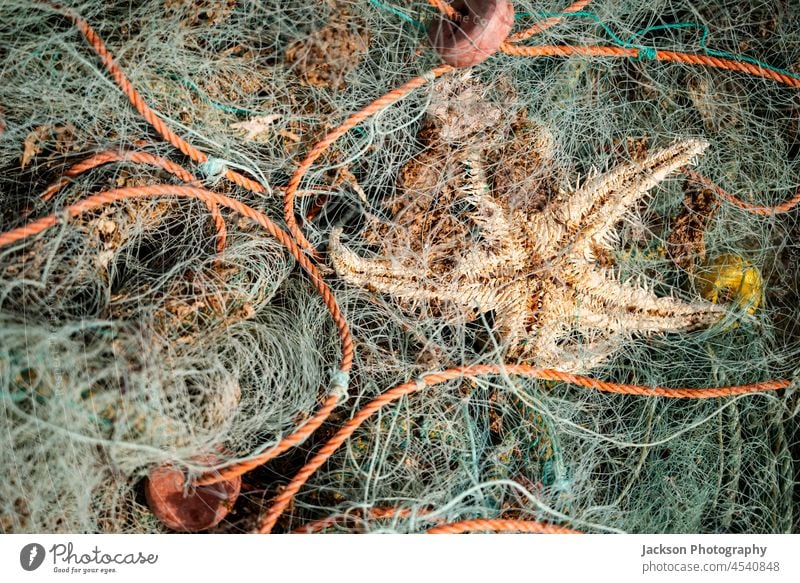 Grüne Fischernetze mit orangefarbenem Seil bilden eine schöne Kulisse Netz Fischen Hintergrund Fischereiindustrie Fische fangen abschließen trocknen Nahaufnahme