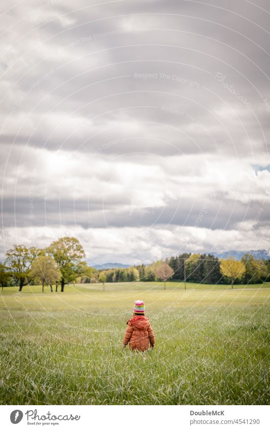 Ein Kind geht in Ferne durch ein Feld in die unberührte Natur Farbfoto Außenaufnahme Tag 1 mehrfarbig grün natürlich Umwelt allein Ruhe Idylle abschalten