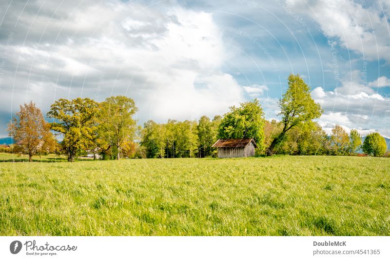Eine unberührte Landschaft mit einer alleinstehenden Hütte Farbfoto Außenaufnahme Tag mehrfarbig Natur Menschenleer grün natürlich Umwelt Ruhe Idylle abschalten