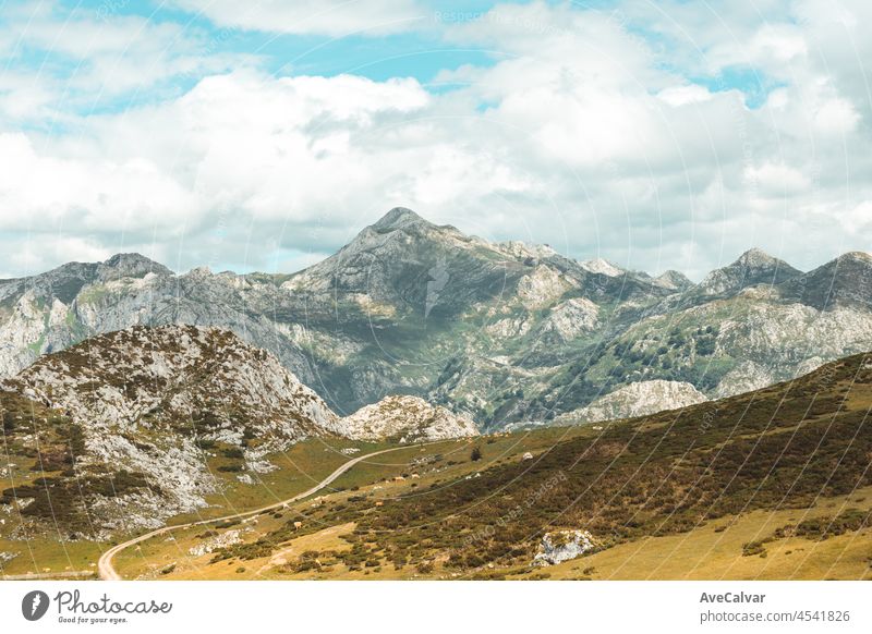 Bunte Landschaft der Berge von Asturien während eines sonnigen Tages, Covadonga Seen, friedliche Szenario, verschneite Berge, Kopie Raum Gipfel Wiese Lagune