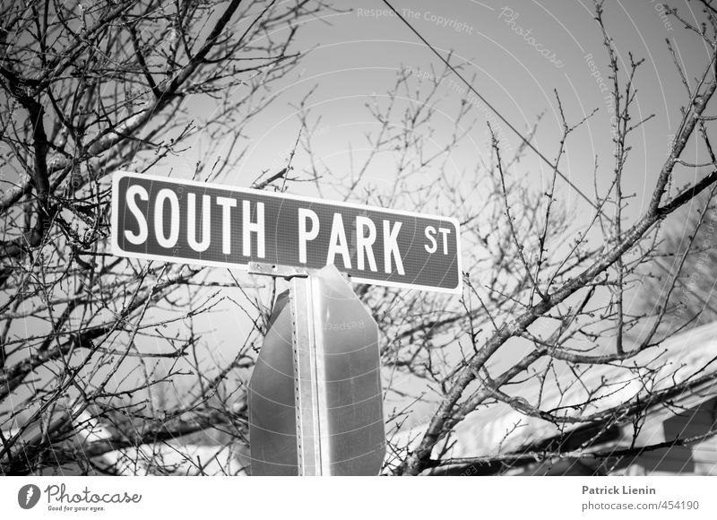 South Park Baum Stadt Verkehr Straße Verkehrszeichen Verkehrsschild Zeichen eckig Design Kontakt planen Überwachung Wege & Pfade Erde south park USA Wegweiser