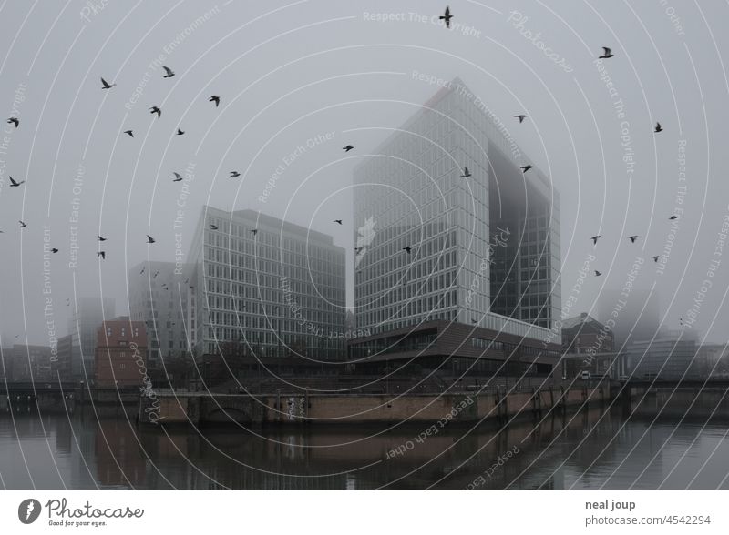 Das Spiegel Gebäude in Hamburger Morgennebel – ein Taubenschwarm sucht das Weite Architektur Fassade Bürogebäude modern Nebel geheimnisvoll Außenaufnahme
