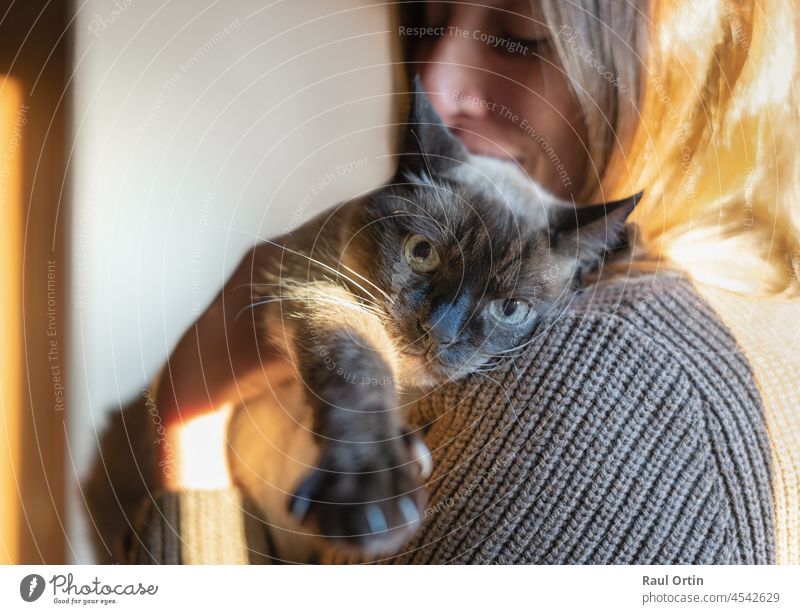 Porträt einer jungen Frau, die eine Siamkatze auf ihren Schultern hält, zu Hause, Emotionen und Haustierkonzept Katze Person Tier siamesisch Zuneigung niedlich