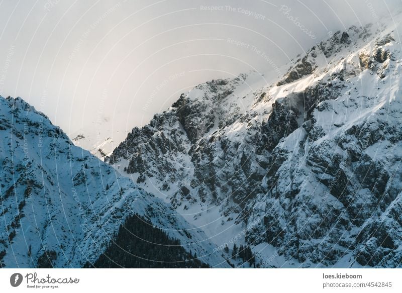 Schneebedeckte alpine Berge mit wolkenverhangenen Gipfeln an der Mieminger Kette, Tirol, Österreich Berge u. Gebirge Winter Nebel weiß Felsen mieminger kette