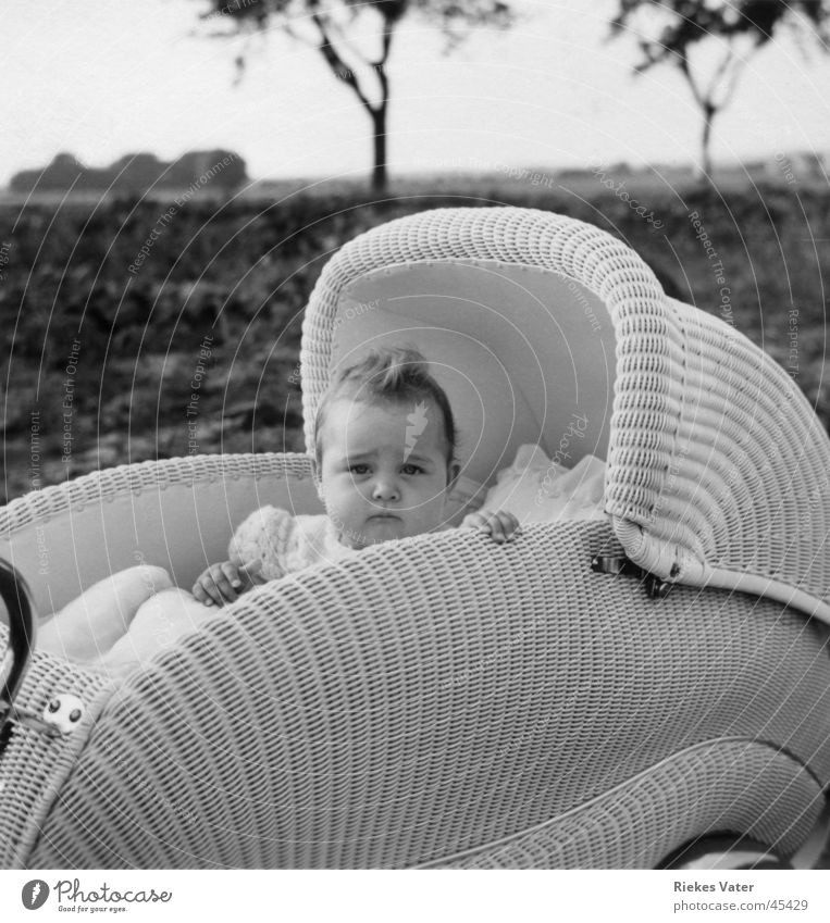 im Kinderwagen Baby Mädchen Baum Feld Hand Haare & Frisuren Hahnenkamm Degersen Kleinkind Verkehr korbgeflecht 1955