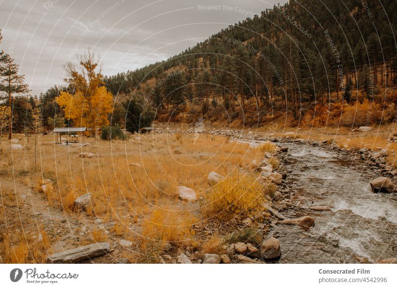 Landschaftsfoto von Fluss und Herbstlaub in den Bergen Espen Colorado reisen Abenteuer fallen Laubwerk Blätter Herbstfärbung Herbststimmung Jahreszeiten Natur