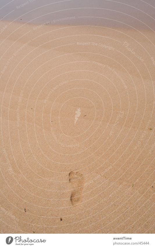 Fußspur Meer Sand Wege & Pfade schreiten Detailaufnahme
