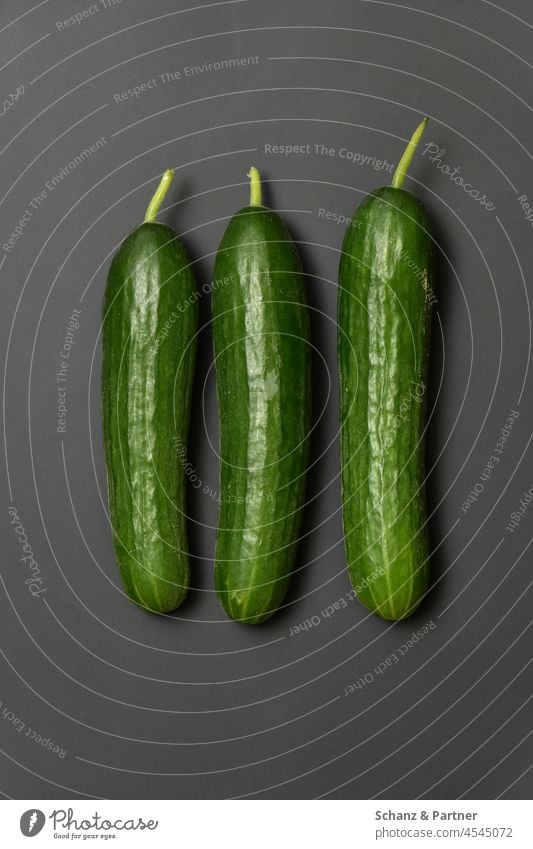 drei Salatgurken auf schwarzem Grund Gemüse Gurke Schlangengurke Dreier zu dritt Ernte ernten Garten Feld Bio Lebensmittel Gesundheit frisch grün Ernährung