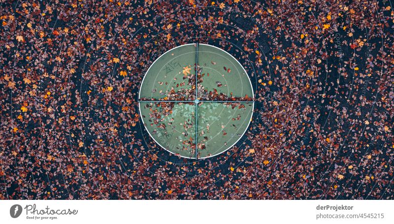 Ein grüne, runde Tischtennisplatte umgeben von Laub vergänglich sterben Abschiedsgruß Baum Laubwald Herbstwald Wald Park Vergänglichkeit Gedeckte Farben