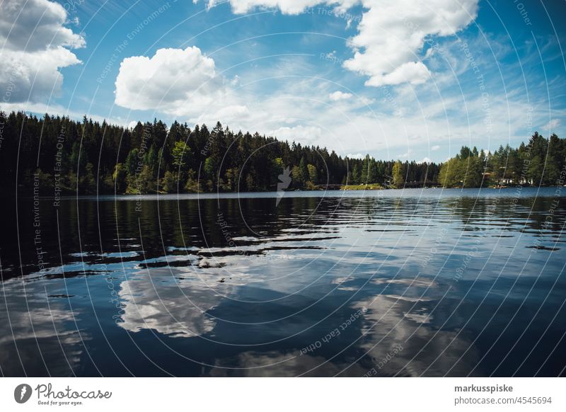 Fichtelsee See Wasser Wald Naturschutzgebiet Naturerlebnis Naturliebe Bayern Oberfranken Deutschland Sommer Sommerurlaub Sommerzeit