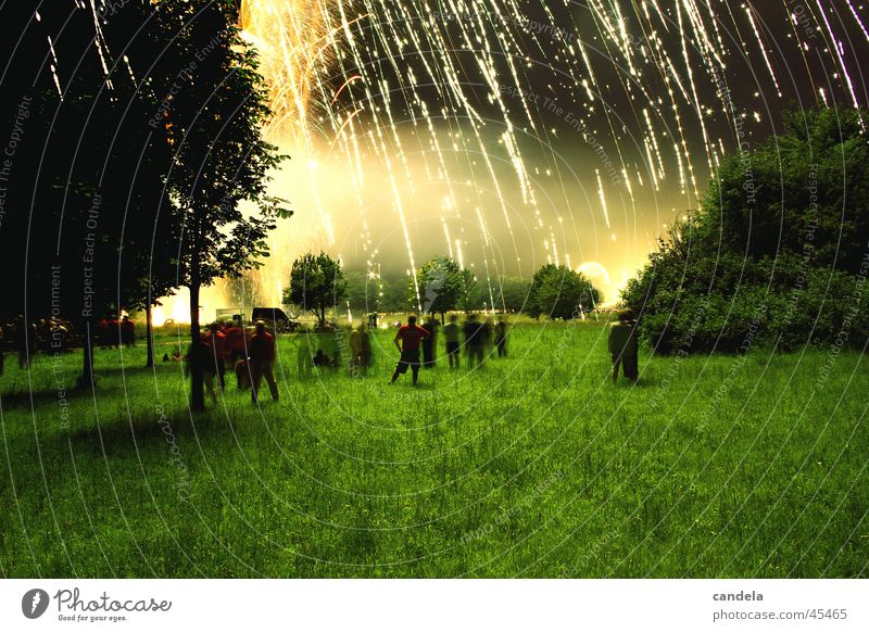 Goldregen Nacht Langzeitbelichtung Licht Menschengruppe dunkel Wiese Vordergrund Veranstaltung Feuerwerk Reaktionen u. Effekte Abend Brand Lampe Himmel