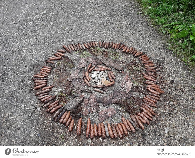 Mandala aus Naturmaterialien auf einem Waldweg Kreis Fichtenzapfen Baumrinde Steine rund kreativ Kreativität Kunstwerk Farbfoto Menschenleer Muster