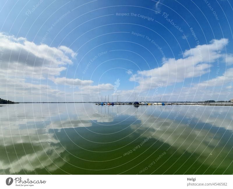 Segelboote in einem kleinen Hafen am See Dümmer See Wasser Himmel Spiegelung Wolken Spätsommer Stille Ruhe schönes Wetter Sonnenlicht Algen Weite
