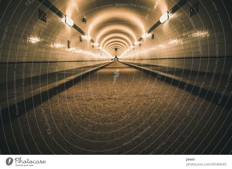 Zielorientiert nach vorne gehen *700* Sogwirkung Tunnel Tunnelblick geradeaus Linie Flucht Zentralperspektive Architektur Licht Fluchtpunkt Beleuchtung