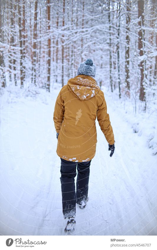 im schnee wandern Winter Schnee Wald Natur Wetter Eis Winterurlaub Schneelandschaft Mensch von hinten Rückansicht laufen Spaziergang Winterstimmung Schneedecke
