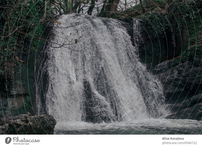 Wasserfall Natur Gras Steine felsig Ufer Klippe im Freien Landschaft Tourismus malerisch