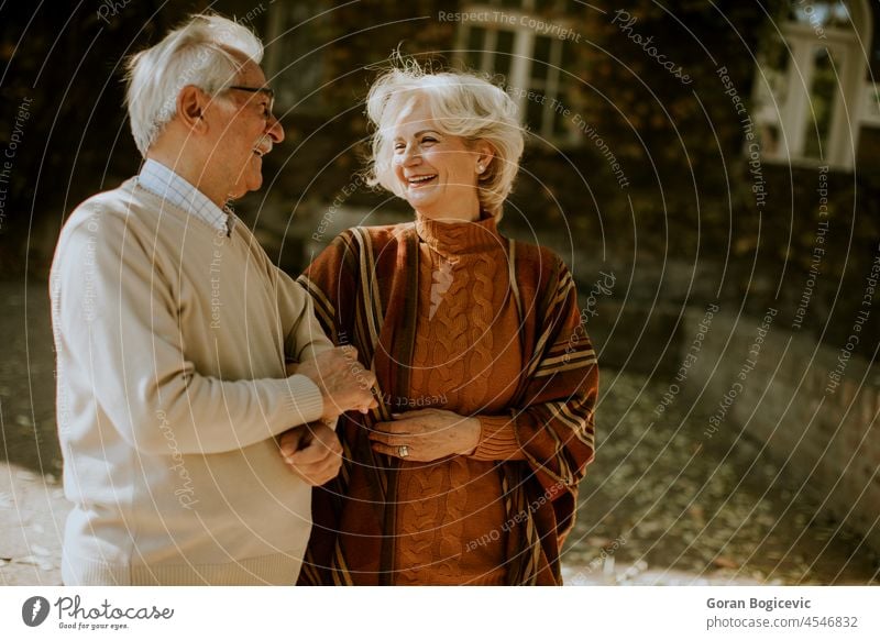 Älteres Paar beim Spaziergang im Herbstpark gealtert Alterung schön lässig heiter Holunderbusch älter umarmend Genuss Großvater Großmutter grau Fröhlichkeit