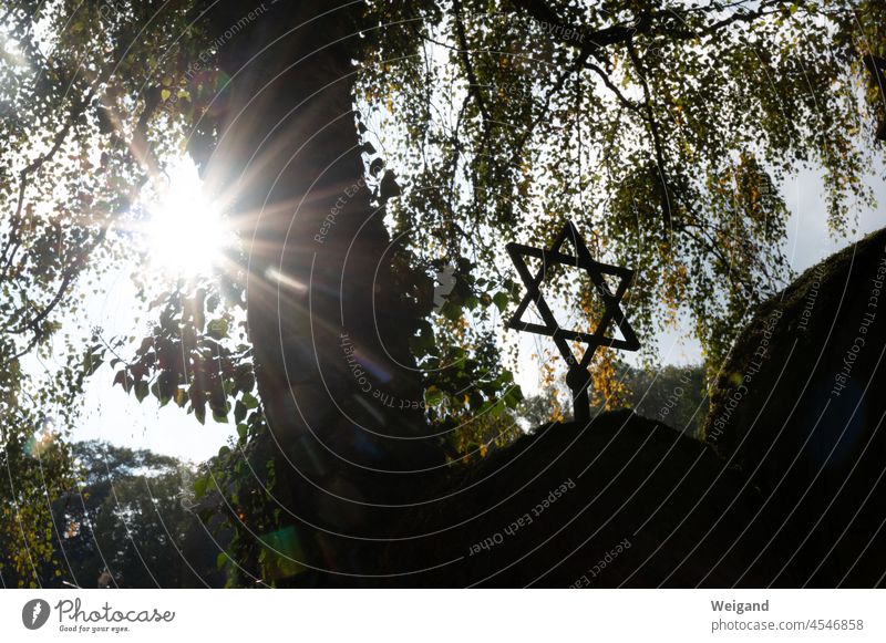 Jüdischer Friedhof mit Davidstern Antisemitismus Judentum jüdisch Sonne Herbst Trauer Licht Sonnenlicht Religion