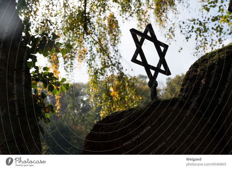 Davidstern auf einem jüdischen Friedhof Religion Antisemitismus Jüdisch judentum Herbst Stern Juden