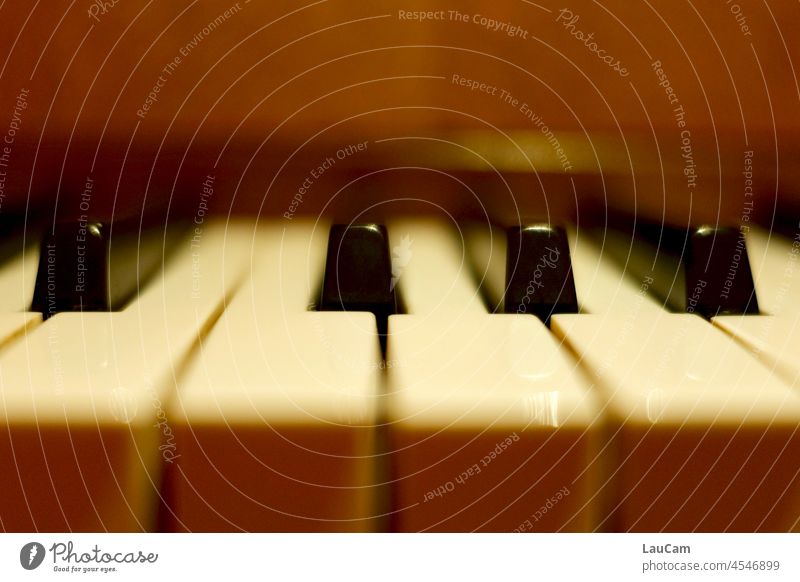Zum Tasten nah - Klavier im Fokus Klavier spielen Klavierunterricht Musik Musikinstrument Detailaufnahme Tasteninstrumente musizieren Klaviertasten