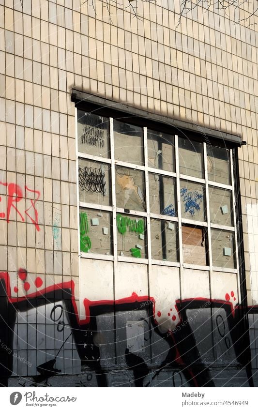 Alte Fassade mit Kacheln in Beige und Naturfarben, großem Sprossenfenster und Graffiti im Sonnenschein an der Goethe Universität im Sommer im Westend von Frankfurt am Main in Hessen