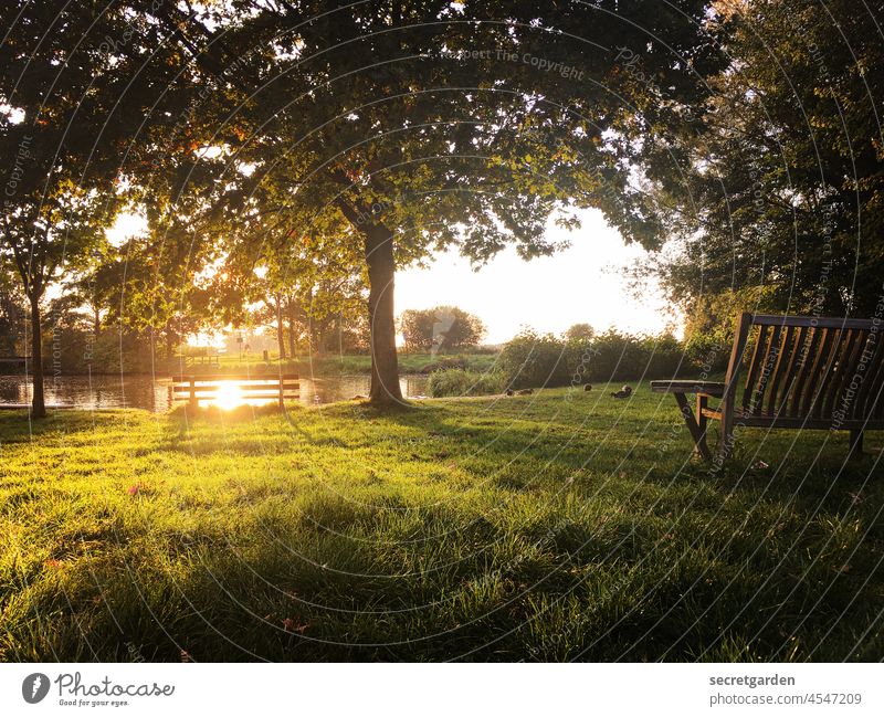 [Teufelsmoor 2021] Perfekter Augenblick. Sonnenuntergang Kitschig Enten Idylle idyllisch Rasen Park Baum Natur Naturerlebnis Naturschutzgebiet Naturphänomene