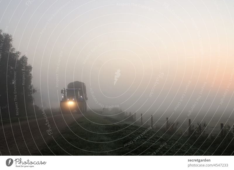 [Teufelsmoor 2021] Spot on! Trecker Landwirtschaft Nebel Landschaft morgens Straße Sonnenaufgang zaghaft Außenaufnahme Morgen Menschenleer Morgendämmerung Natur