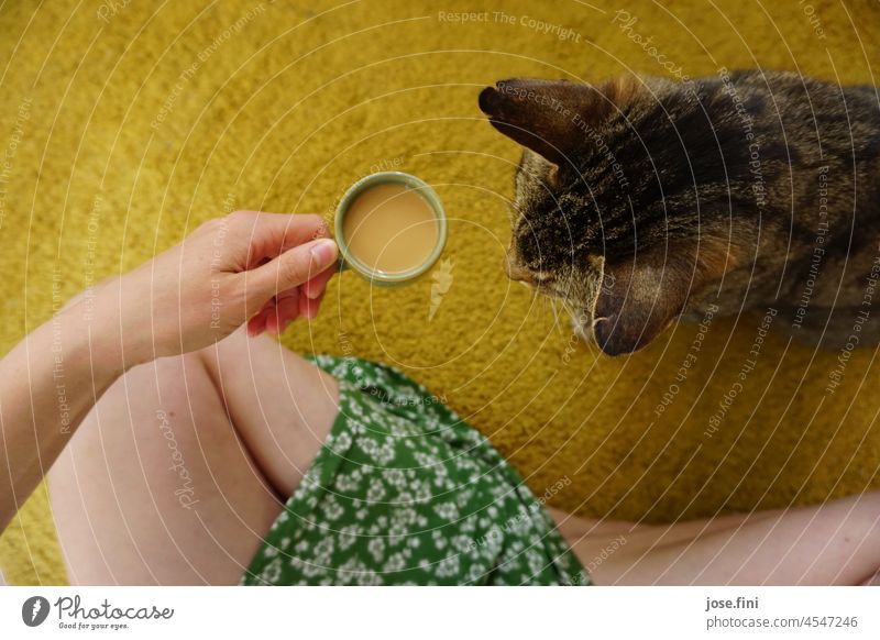 Morgenritual| Person mit einer Espresso Tasse in der Hand, getigerte Katze sitzt daneben und schnuppert, sie sitzen auf einem gelben Teppich Frau Pause Boden