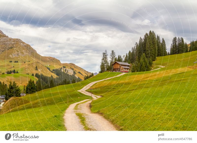 Landschaft am Lech Vorarlberg Österreich Alpen alpin Hügel Wiese Weide lech Baum Berge u. Gebirge friedlich idyllisch Hütte Baracke Bruchbude Gras Feldweg