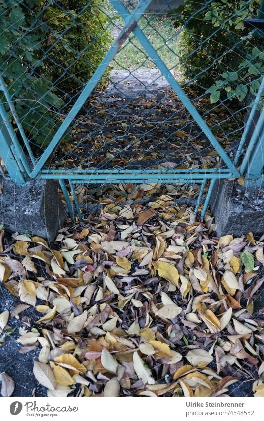 Buntes Herbstlaub weht durch Gartentor Laub Blätter Gartentür Tür Gitter Türkis Dreieck Laubhaufen herbstlich Herbststimmung Jahreszeiten verschlossen Öffnung
