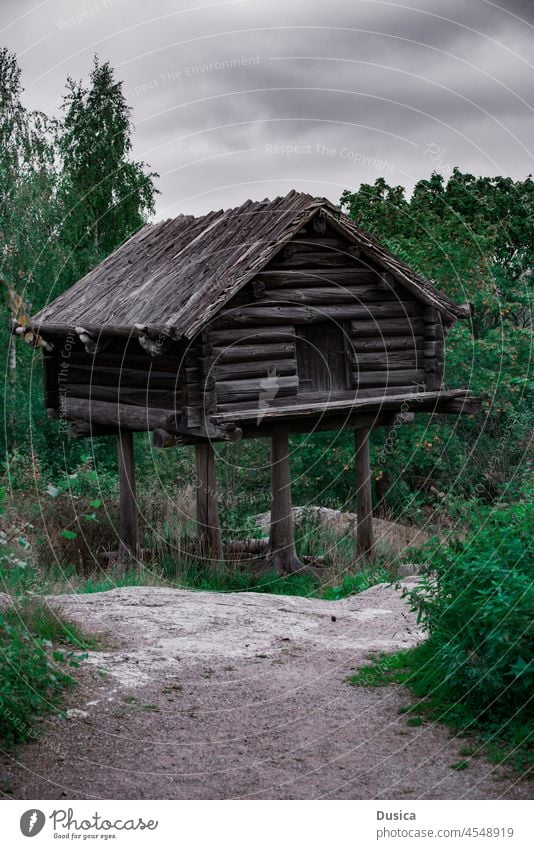 Holzhütte auf Stelzen in der Natur Haus heimwärts Kabine klein winzig hölzern Cottage grün Wald Außenseite